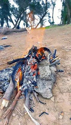 یه روز ناب منو یار جان🥰