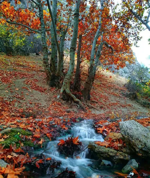 فرقی نمی کند