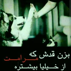 هـــه‍