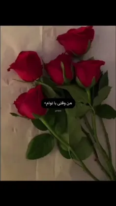 مرسی که با همه خنگ بازیام و خیلی وقتا نتونستم 