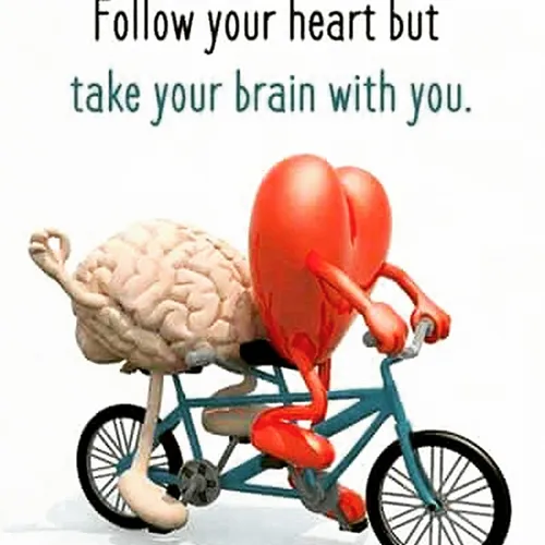 از قلبت پیروی کن اما عقلت رو با خودت ببر