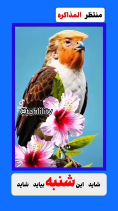 منتظران مذاکره . شاید این شنبه بیاید شاید