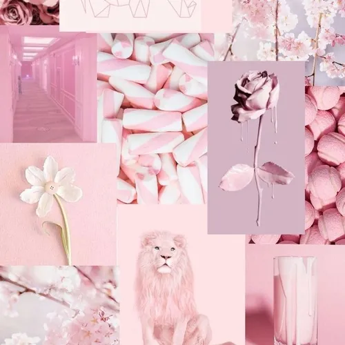 pink mood 💓


دوست دارین بازم ازین کیوتا بزارم🥺🌺