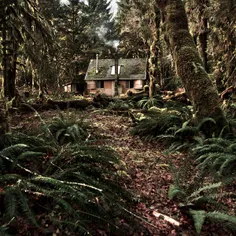 خانه ای از چوب