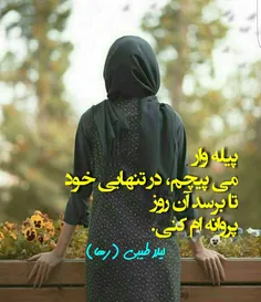 #سعید_فلاحی #سعید #فلاحی #زانا_کوردستانی #زانا #کوردستان 