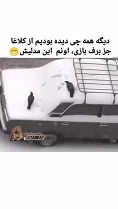 👌 خودم اولین بار بود که دیدم