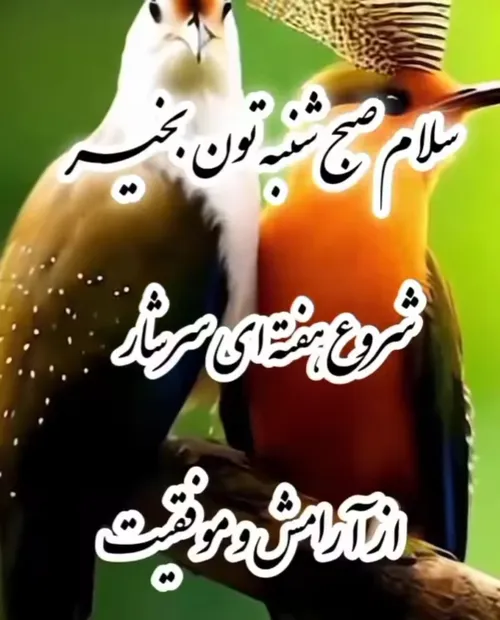  baran4292 69712576 - عکس ویسگون