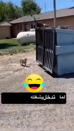 رفته چه بلایی سر خودش آورده 😂😂