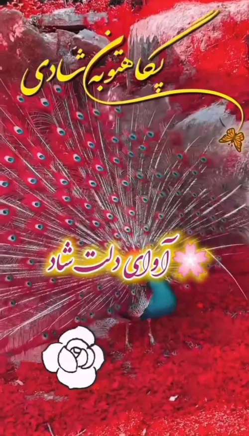 پگاهتون به شادی 🌸🌸🤲🤲🌸🌸