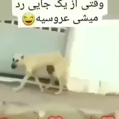 واقعیتی است که همه دیده این😂😂