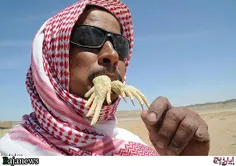 عرب سوسمار خور