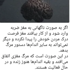 دانستنی جالب