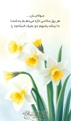 **السلام علیکم یا أهل بیت النبوّة، و رحمة الله علی محبّیک