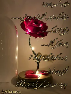 ❤عالیجناب شب بیداریهایم؛