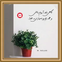 #m_nollan