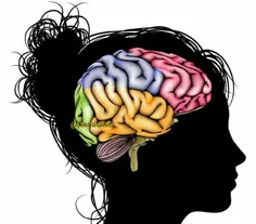دانشمندان متعقدند مغز انسان به ابتدا و اتنهای کملات توجه 