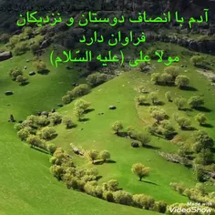 🌿🌿🌴🌴سخن مولا علی (علیه السّلام) 🌴🌴🌿🌿