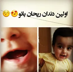 تو را دارم چه کم دارم