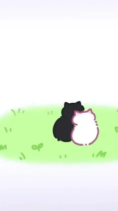 گربه 