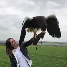 اُبهت عقاب رو میشه اینجا دید😍🦅