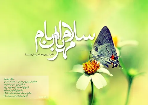 سلام دوستان، نماز روزه هاتون قبول، شب میلاد کریم اهل بیت(