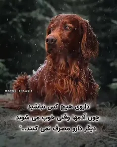 گذر عمر_زندگی