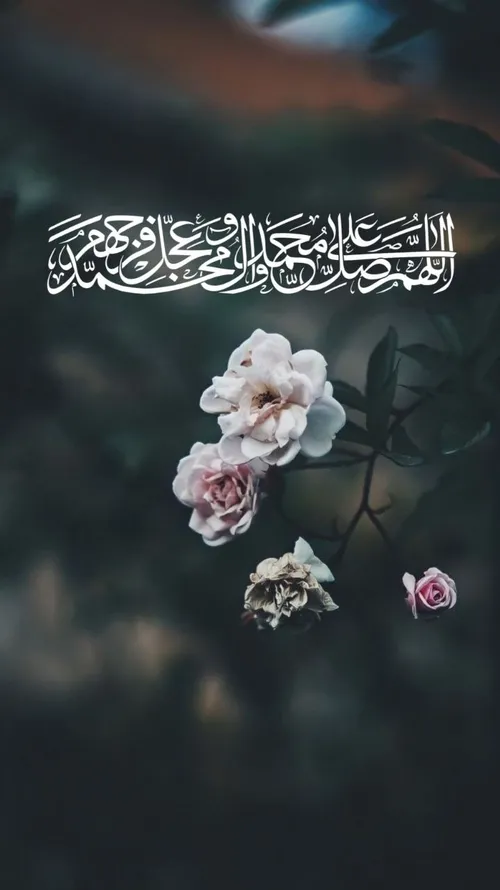 صلوات امروز تقدیم به امام علی(ع)🤍🍃