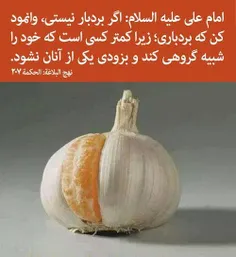 #حدیث_علوی