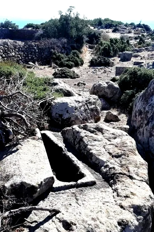 تابوت شهر باستانی اسوس