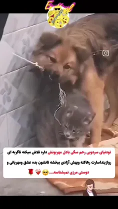 خود دربند و درحال نجات موجودی دیگر از بند