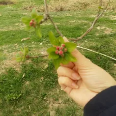 بخند ک زندگی سر گذر ندارد