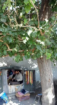 نامش عارف است و #کفاش محله #شهران. 6 فرزند دارد و می گوید