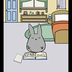 برنامه یstudy bunny 