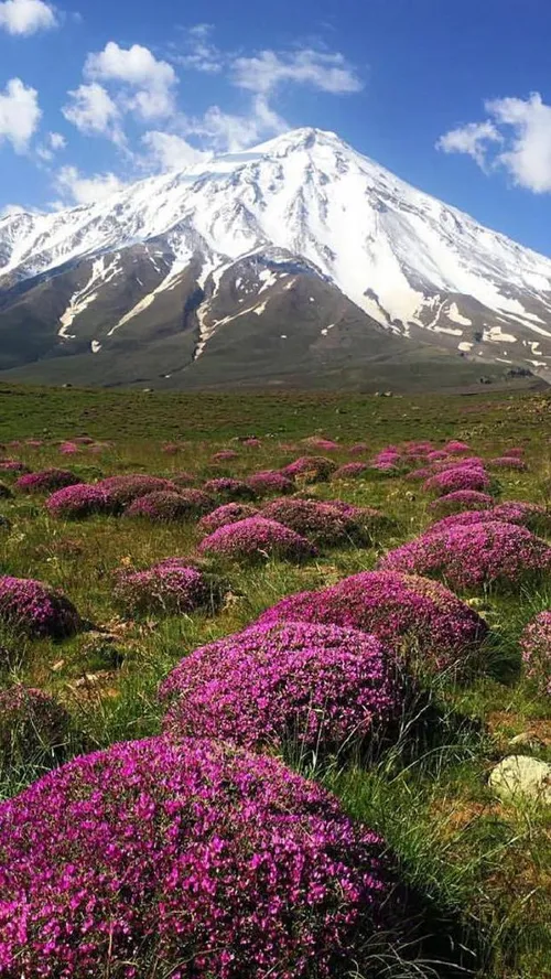 ایران زیبا دماوند