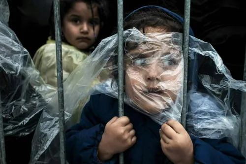 تصویر کودک پناه جو در صف صربستان