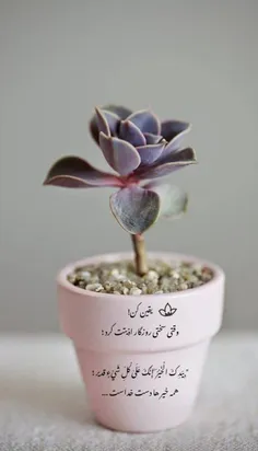 خدا💌🌼