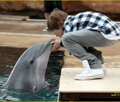 جاستین بیبر در حال بوسیدن دلفین
