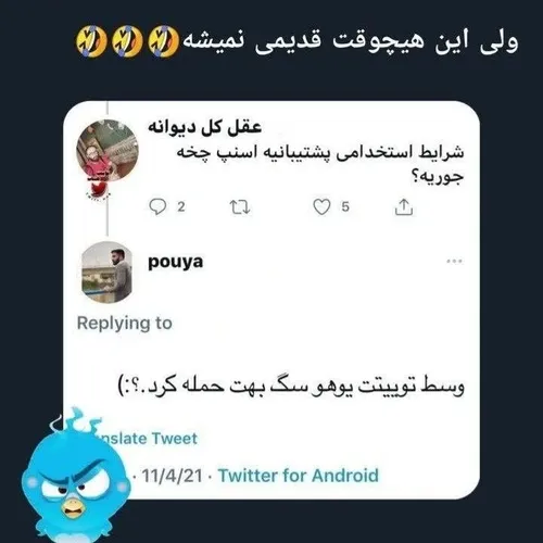 وای فهمیدین؟🐔😂😂😂