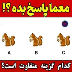 هرکی اول بگه شات میشه جواب دایرکت