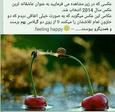 جالبه بخونین