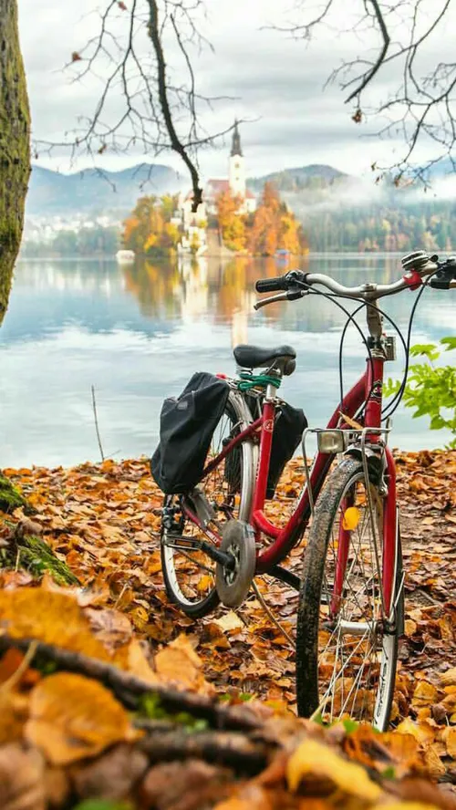 L'automne est une saison qui enseigne que le changement p