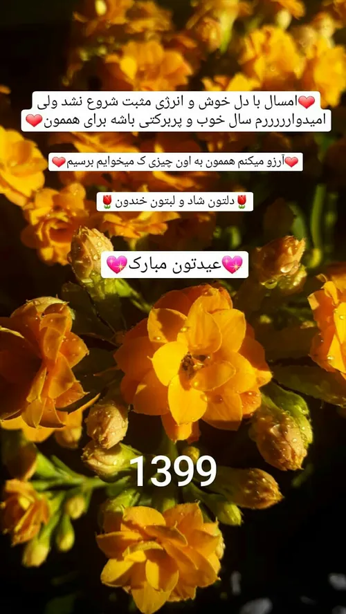 بوسیدن آری خیر