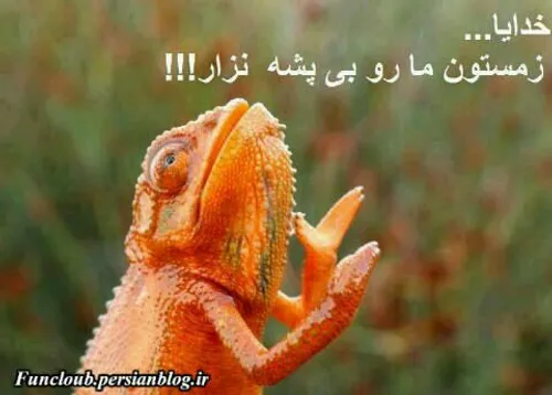 حخخخ