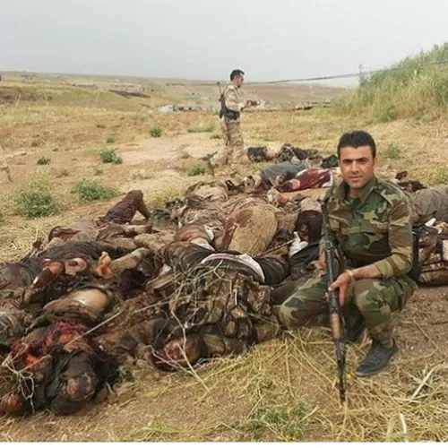 کشته شدن آخرین قلاده از سگهای داعشی بدست پیشمرگه های کورد