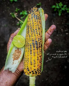 :)🌽-