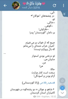 #سعید_فلاحی