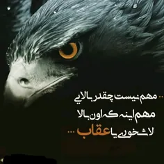 #گوناگون