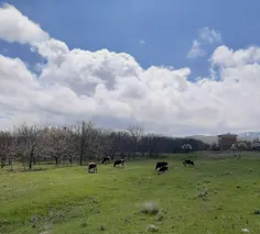 اندر دل من مها دل‌افروز تویی