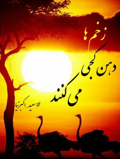 زخم ها دهن کجی می کنند و تازیانه میزنند روحم را