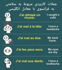 جملات کاربردی فرانسوی با معادل انگلیسی